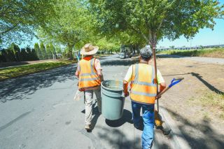 Rusty Rae/News-Register##Public Works employees haul a trash can along Marsh Lane during a recent cleanup effort. Public Works Superintendent David Renshaw said in the last four months the city has cleaned 65 yards and debris using 125 staff hours for homeless camps.